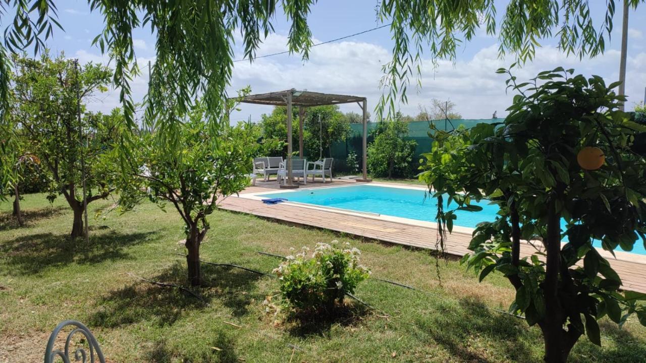 Els Tarongers Perfect For Families Or Friends Villa Sa Pobla Eksteriør billede