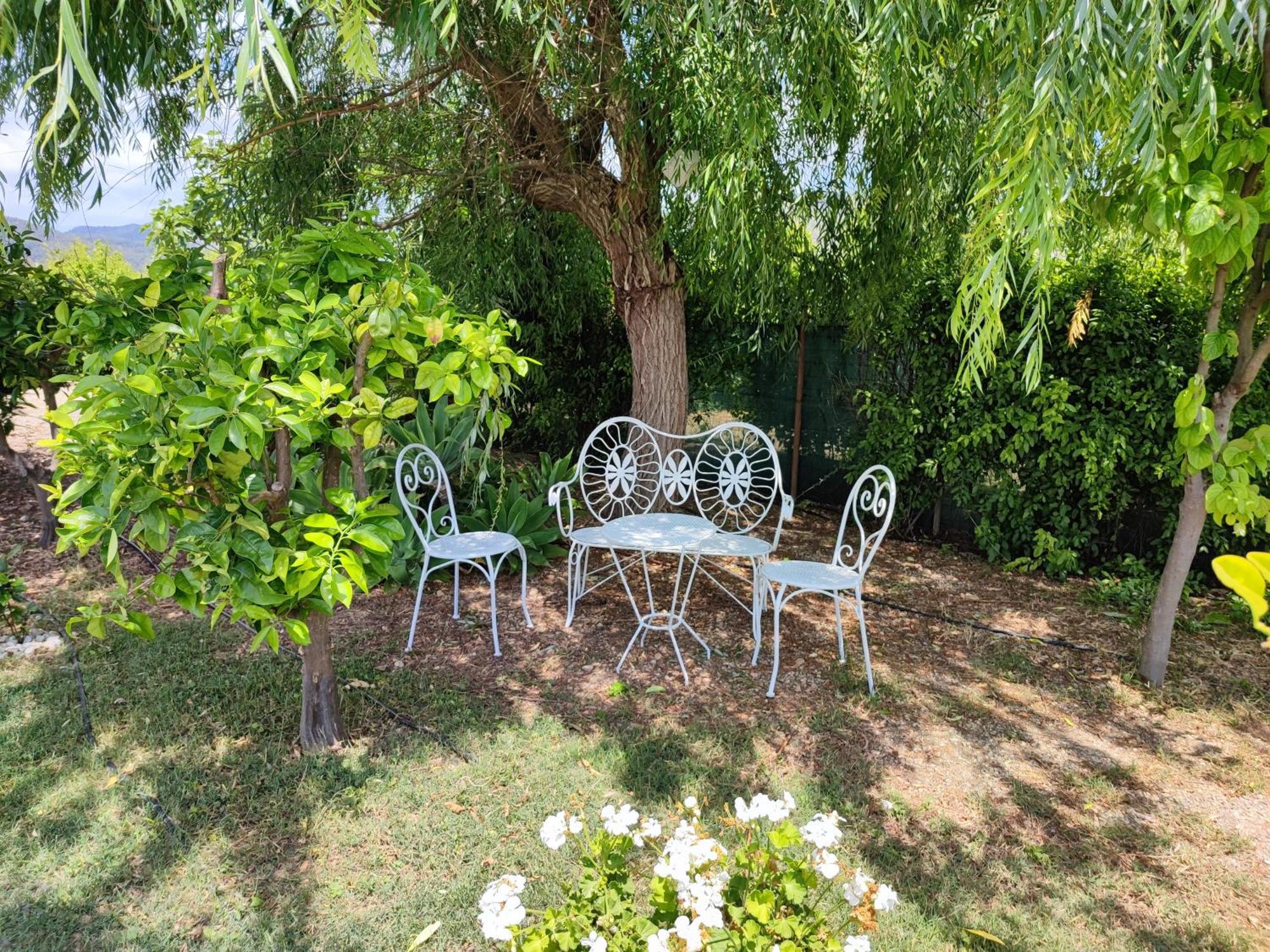 Els Tarongers Perfect For Families Or Friends Villa Sa Pobla Eksteriør billede